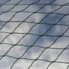 Bird Block Soft Bird Mesh Netting For Fruit Veg & Plants - 4m Wide -PlantHub Shop Bird20Net201000x100020880kb