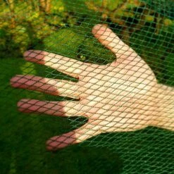 Soft Butterfly Mesh Netting For Cabbages Brassicas & Plants - 4m Wide 7 Soft Butterfly Mesh Netting For Cabbages Brassicas & Plants - 4m Wide -PlantHub Shop Butterfly20Net201000x1000201319kb