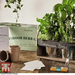 Chalk Board Herb Garden Gift Set - Gift -PlantHub Shop CHAL KC5963 C