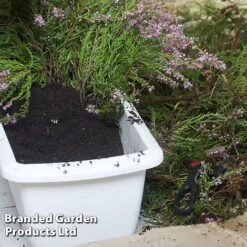 Ericaceous Compost -PlantHub Shop COMP ERICACEOUS L35278