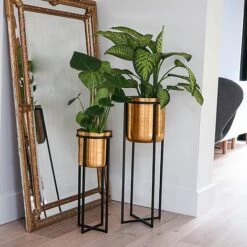 Calla Planter Stand Black/Antique Gold H58CM D22CM -PlantHub Shop CPSBG58 2
