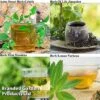Botanical Infusions Plants - Collection -PlantHub Shop Collage herb