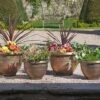 4 Pack Of Antique Effect Planters -PlantHub Shop D6146 1000x1000 LS