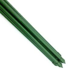Telescopic Extendable Heavy Duty Plant Stakes - 1.2-2.1m L 9 Telescopic Extendable Heavy Duty Plant Stakes - 1.2-2.1m L -PlantHub Shop Double20thickness20Plant20Stakes20302420x20302420908kb1