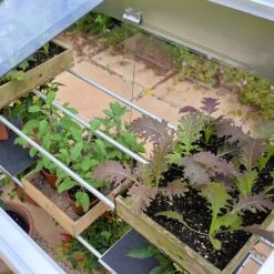 4ft Midi Growhouse -PlantHub Shop FB4 9517