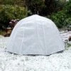 Frost Brolly Pest & Winter Protection Plant Umbrella Dome -PlantHub Shop FROSTBROLLY20800x80020826kb1