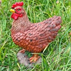 Pair Of Garden Chicken Ornaments -PlantHub Shop FW1006 12