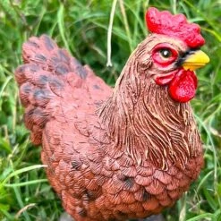 Pair Of Garden Chicken Ornaments -PlantHub Shop FW1006 8