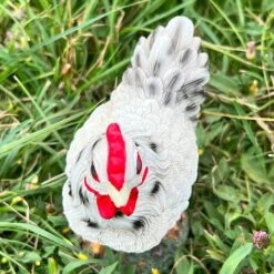 Chicken Garden Ornaments -PlantHub Shop FW1006S 5