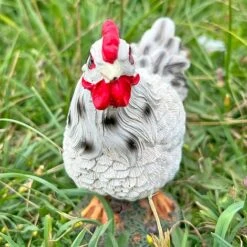 Chicken Garden Ornaments -PlantHub Shop FW1006S 6