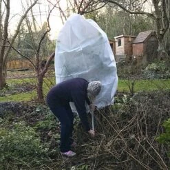 Ultimate Protection 50GSM Frost Fleece Plant Jacket - 1.6m Wide X 2m High -PlantHub Shop Fleece20Cover201000x100020858kb2