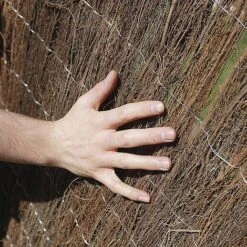 Brushwood Thatch Screen Roll - 1.8X4M(2CM DIAMETER) 13 Brushwood Thatch Screen Roll - 1.8X4M(2CM DIAMETER) -PlantHub Shop G0894 E684D2FF FA2F D76D 2FFD21D0266B7EBA3