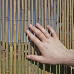 Bamboo Cane Screen Roll - 1X4M 13 Bamboo Cane Screen Roll - 1X4M -PlantHub Shop G0909 E6CC7C17 0813 C18D 25A7FB54B30896AE