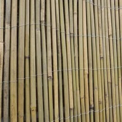 Bamboo Cane Screen Roll - 1.8X4M -PlantHub Shop G0909 E6CC8A6F A225 6F62 A94A03F7FEA93232 1