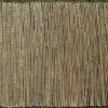 Bamboo Cane Screen Roll - 1.5X4M -PlantHub Shop G0909 E6CC92C6 E530 AB54 C1E831D2FAB03809