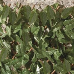 Expandable Artificial Ivy Hedge Trellis 7 Expandable Artificial Ivy Hedge Trellis -PlantHub Shop G1041 3 1000x1000 1