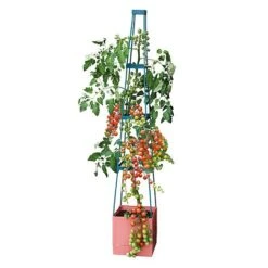 Garden Grow Self Watering Tomato Tower -PlantHub Shop G2202 4 Tier Self Watering Tomato Tower CO with toms 2000x2000 1