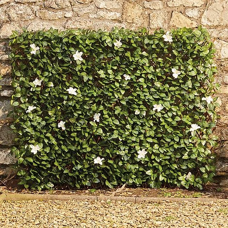 White Flower Hedge Trellis - 1x2m 4 White Flower Hedge Trellis - 1x2m - Image 2