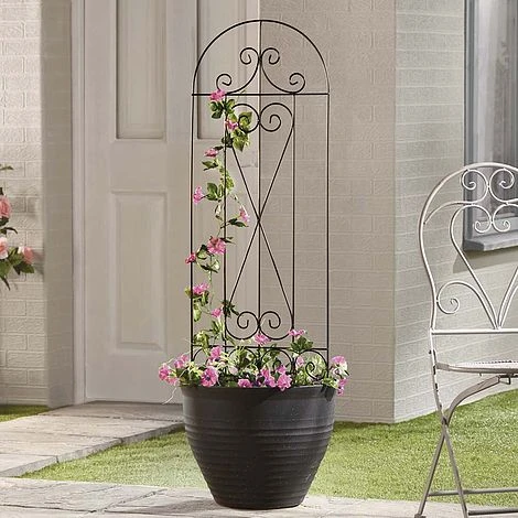 Garden Gear 1.2M Metal Plant Support - Swirl 4 Garden Gear 1.2M Metal Plant Support - Swirl - Image 2