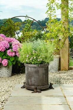 Antique Bronze Coloured German Shepherd Potty Feet - Plant Pot Feet -PlantHub Shop GERMAN20SHEPHERD20 20LIFESTYLE20220 20PF0067