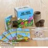 Mr Men Seed Grow Flower Kit -PlantHub Shop GKIT LITTLEMIS T48774