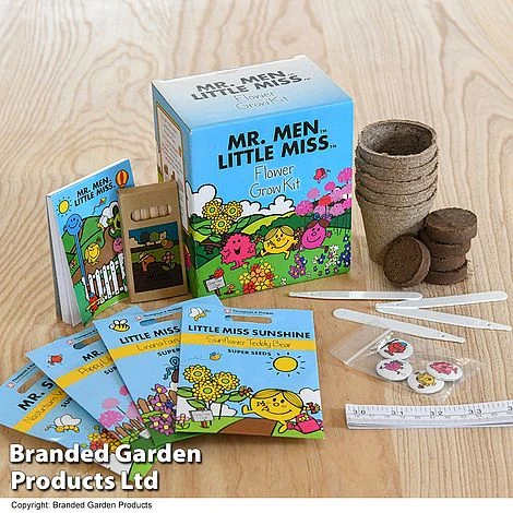 Mr Men Seed Grow Flower Kit 3 Mr Men Seed Grow Flower Kit