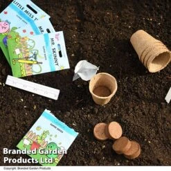 Mr Men Seed Grow Vegetable Kit -PlantHub Shop GKIT MRMEN T49099