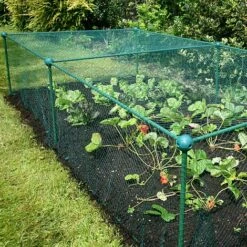 Build-a-Cage Modular Fruit & Vegetable Cage Kit - 0.625m High With Bird Mesh -PlantHub Shop GLD 0.625PIC2