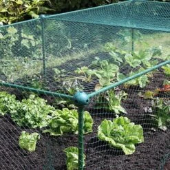 Build-a-Cage Modular Fruit & Vegetable Cage Kit - 0.625m High With Bird Mesh -PlantHub Shop GLD 0.625PIC5 1