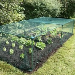 Build-a-Cage Modular Fruit & Vegetable Cage Kit - 0.625m High With Bird Mesh -PlantHub Shop GLD 0.625PIC7 1