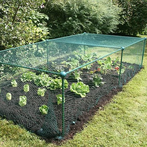 Build-a-Cage Modular Fruit & Vegetable Cage Kit - 0.625m High With Butterfly Mesh 4 Build-a-Cage Modular Fruit & Vegetable Cage Kit - 0.625m High With Butterfly Mesh - Image 2