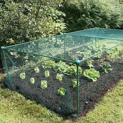 Build-a-Cage Modular Fruit & Vegetable Cage Kit - 0.625m High With Butterfly Mesh 3 Build-a-Cage Modular Fruit & Vegetable Cage Kit - 0.625m High With Butterfly Mesh