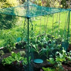 Build-a-Cage Modular Fruit & Vegetable Cage Kit - 1.25m High With Butterfly Mesh -PlantHub Shop GLD 1.25PIC2