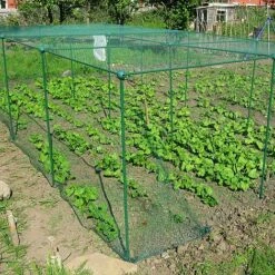 Build-a-Cage Modular Fruit & Vegetable Cage Kit - 1.25m High With Bird Mesh 16 Build-a-Cage Modular Fruit & Vegetable Cage Kit - 1.25m High With Bird Mesh -PlantHub Shop GLD 1.25PIC3 1