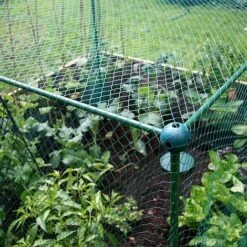 Build-a-Cage Modular Fruit & Vegetable Cage Kit - 1.25m High With Butterfly Mesh -PlantHub Shop GLD 1.25PIC4