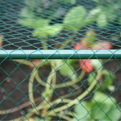 Build-a-Cage Modular Fruit & Vegetable Cage Kit - 1.875m High With Butterfly Mesh -PlantHub Shop GLD 1.875PIC1