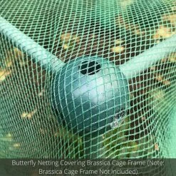 Soft Butterfly Mesh Netting For Cabbages Brassicas & Plants - 6m Wide 9 Soft Butterfly Mesh Netting For Cabbages Brassicas & Plants - 6m Wide -PlantHub Shop GLD20BUILD20A20CAGE20PIC20100020x100020850kb1