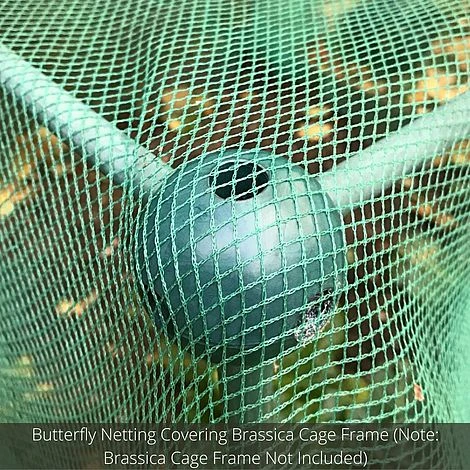Soft Butterfly Mesh Netting For Cabbages Brassicas & Plants - 6m Wide 6 Soft Butterfly Mesh Netting For Cabbages Brassicas & Plants - 6m Wide - Image 4