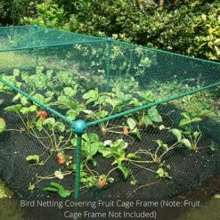 Bird Block Soft Bird Mesh Netting For Fruit Veg & Plants - 4m Wide -PlantHub Shop GLD20Build20a20Cage201000x100020840kb