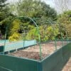 Garden Hoop Grow Tunnel Frame Kit - Large | Metal Hoop House Frame For Cloches Raised Beds Plant Support Protection 2 Garden Hoop Grow Tunnel Frame Kit - Large | Metal Hoop House Frame For Cloches Raised Beds Plant Support Protection -PlantHub Shop GPH20 20GARDEN20HOOPS201000X100020929KB