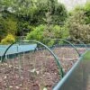 Garden Cloche Hoops For Netting Plant Protection & Support (0.85 W X 0.35m H) -PlantHub Shop GPH20 20GARDEN20HOOPS201000X100020986KB