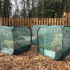 MiniPop Pop-Up Mini Plant & Seedling Cover - 50x50x50cm 10 MiniPop Pop-Up Mini Plant & Seedling Cover - 50x50x50cm -PlantHub Shop GPN050 01P 1000x1000 1