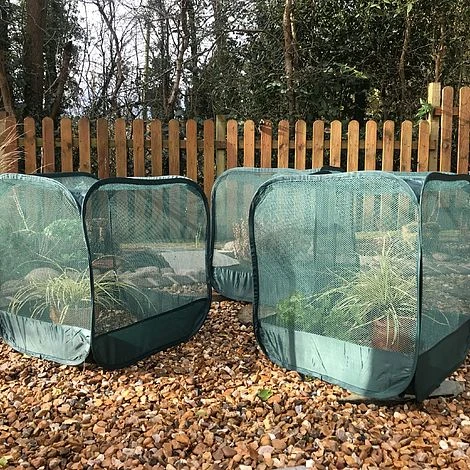 MiniPop Pop-Up Mini Plant & Seedling Cover - 50x50x50cm 6 MiniPop Pop-Up Mini Plant & Seedling Cover - 50x50x50cm - Image 4