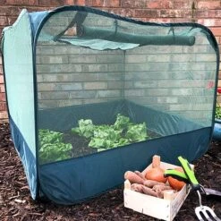 Pop Up Strawberry & Salad Fruit Cage Plant Cover -PlantHub Shop GPN100 02PIC2