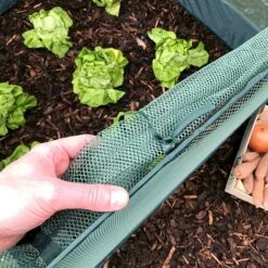 Pop Up Strawberry & Salad Fruit Cage Plant Cover -PlantHub Shop GPN100 02PIC3