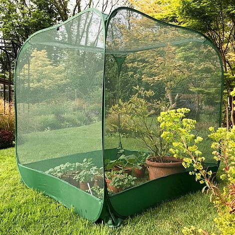 Pop Up Fruit Cage & Brassica Grow-House - 1.35m High 3 Pop Up Fruit Cage & Brassica Grow-House - 1.35m High