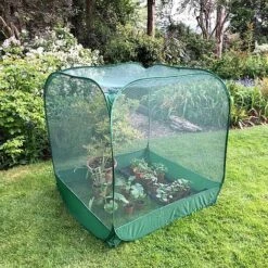 Pop Up Fruit Cage & Brassica Grow-House - 1.35m High 5 Pop Up Fruit Cage & Brassica Grow-House - 1.35m High -PlantHub Shop GPN100 042020125 04201000x100020877kb