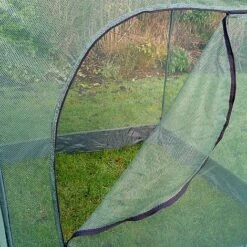 Pop Up Cabbage & Brassica Vegetable Cage Plant Cover -PlantHub Shop GPN100 05PIC2