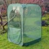 Pop Up Raspberry Fruit Cage & Plant Cover -PlantHub Shop GPN100 08PIC1