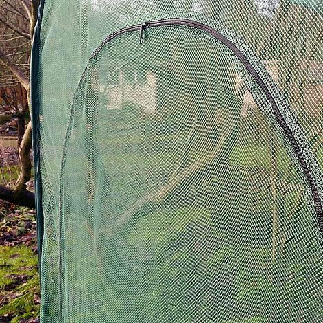 Pop Up Raspberry Fruit Cage & Plant Cover 4 Pop Up Raspberry Fruit Cage & Plant Cover - Image 2